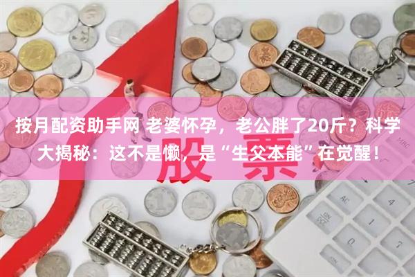 按月配资助手网 老婆怀孕，老公胖了20斤？科学大揭秘：这不是懒，是“生父本能”在觉醒！