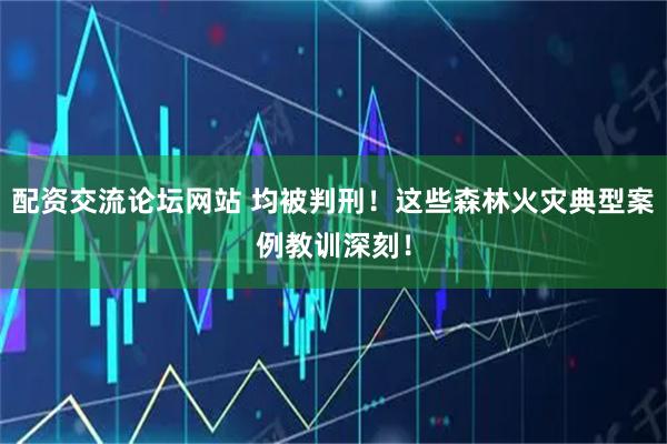 配资交流论坛网站 均被判刑！这些森林火灾典型案例教训深刻！