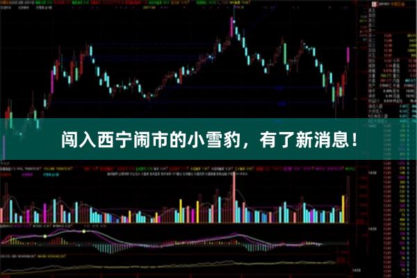 闯入西宁闹市的小雪豹，有了新消息！